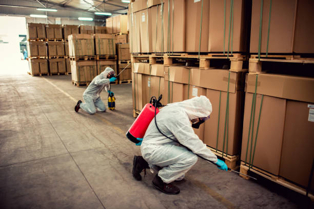 Best Affordable Pest Control Services  in Calcium, NY