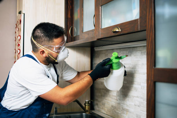Pest Control for Restaurants in Calcium, NY