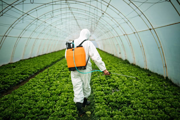 Best Commercial Pest Control Services  in Calcium, NY
