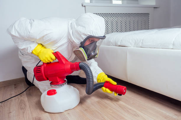 Best Local Pest Control Services  in Calcium, NY