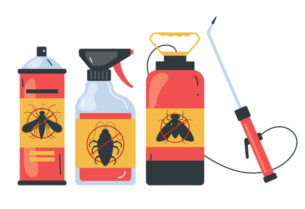 Best Wasp Removal Services  in Calcium, NY