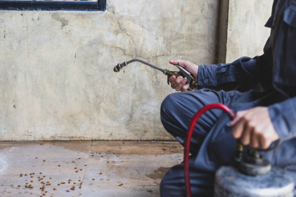 Best Exterminator Services  in Calcium, NY
